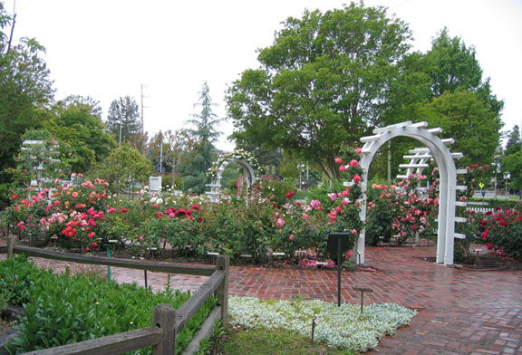 Luther Burbank Garden